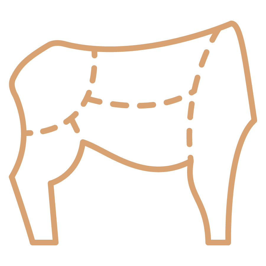 beef icon